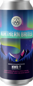 northern brites CAN MOCKUP 2 copy 2 2 copy
